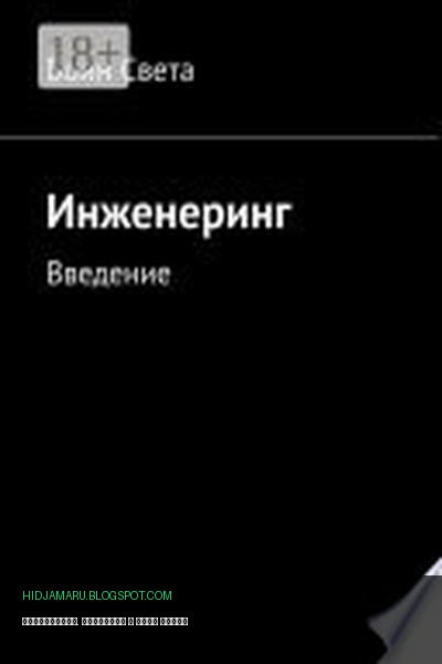 Обложка книги «Инженеринг. Введение» - Воин Света