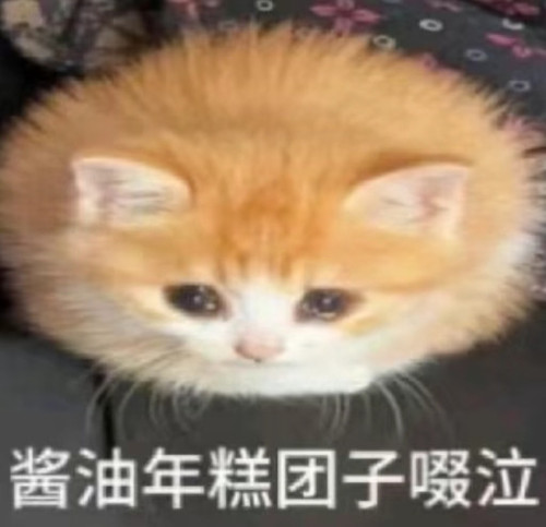 1000123948.jpg