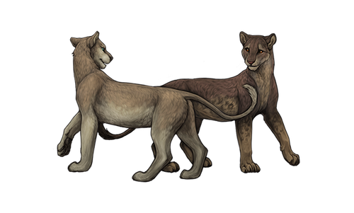 image 2026 08 08 104659025.png