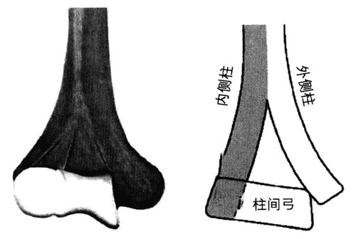 weread image 484676676846410.jpg