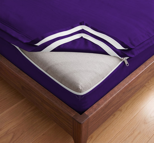 Purple.jpg