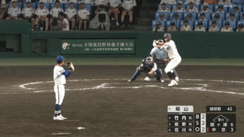 dsfdsfdsfesfefrdsdfsdfs.gif