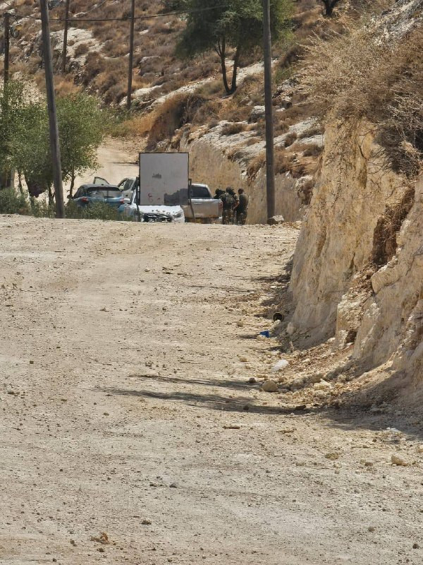 صورة الخبر