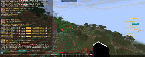 981b393ebfe1.jpg