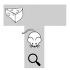 fa8b6c4a3ed2.png
