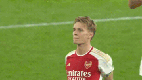 92152375.gif