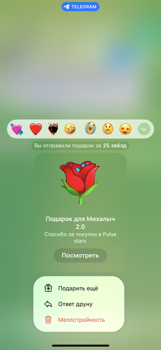 IMG 3777.png