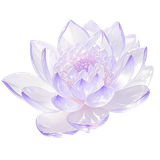 c3076b6ac2a4d7c7fc91f30006f49b27 removebg preview.png