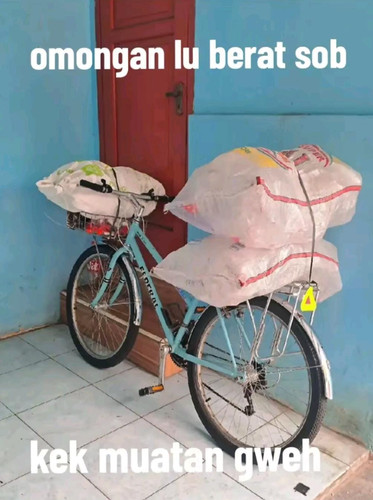 a43ab8b14cfe.jpg