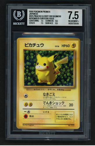 ivy 7.5 F.jpg