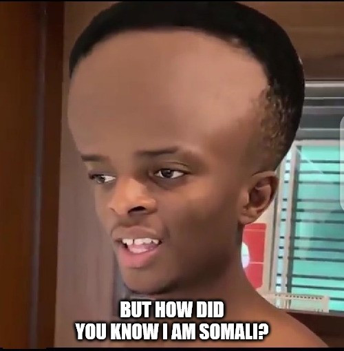 9sr5mq.jpg