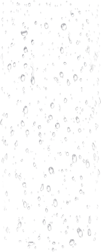 IMG 5400.png