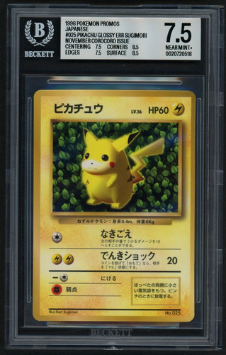 ivy pika front.jpg