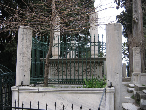 7081b1264411.png