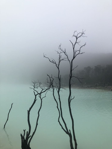  (22).jpg