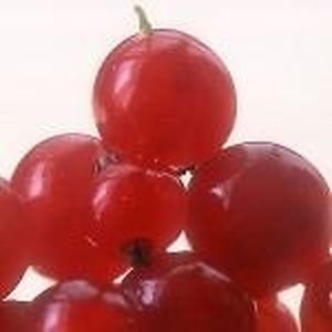 ingredient 058 300.jpg