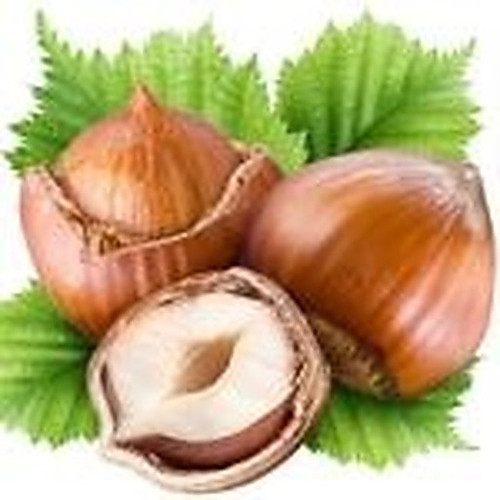 ingredient 069.jpg