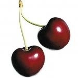 ingredient 067 300.jpg