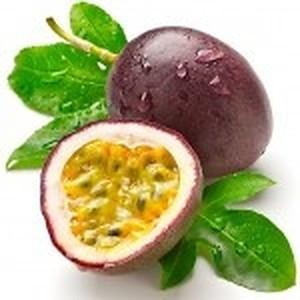 ingredient 063 300.jpg