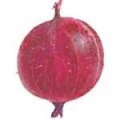 ingredient 078.jpg