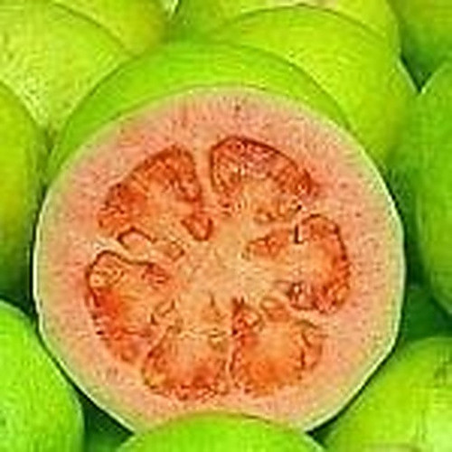 ingredient 082.jpg