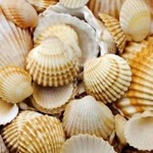 ingredient 444.jpg