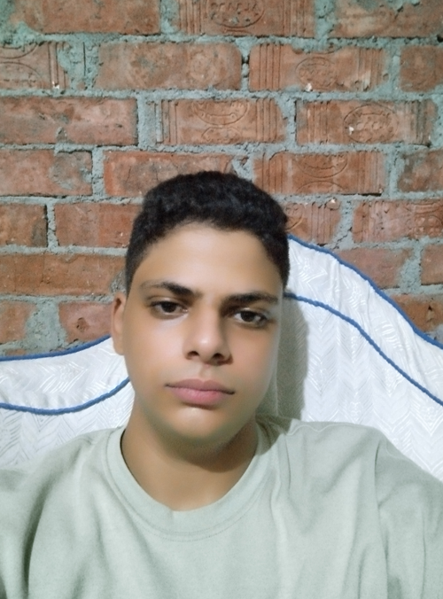 temp.png