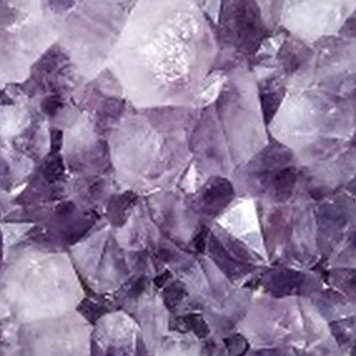 ingredient 610.jpg
