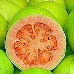 ingredient 082 300.jpg
