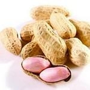 ingredient 093 300.jpg