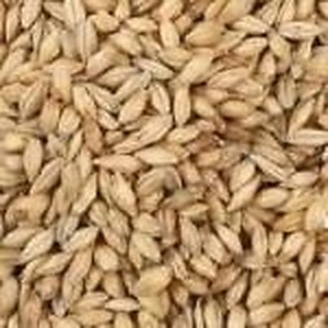 ingredient 099 300.jpg