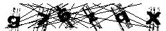 test.jpg