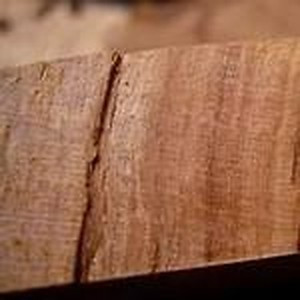 ingredient 260 300.jpg