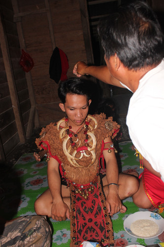 IMG 9843.jpg