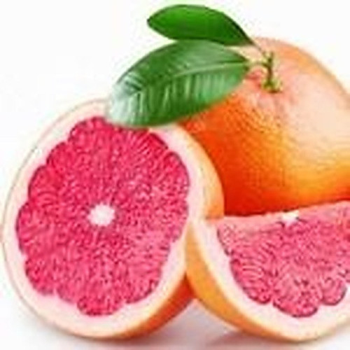 ingredient 017.jpg