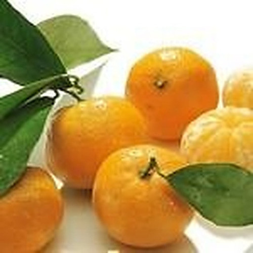 ingredient 018.jpg