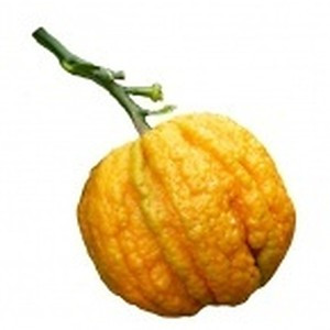 ingredient 025 300.jpg