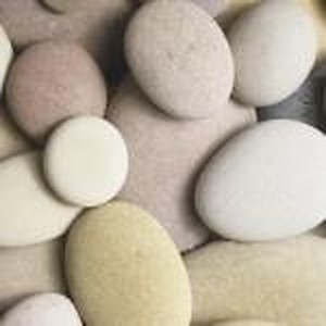 ingredient 625 300.jpg