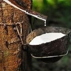 ingredient 627 300.jpg