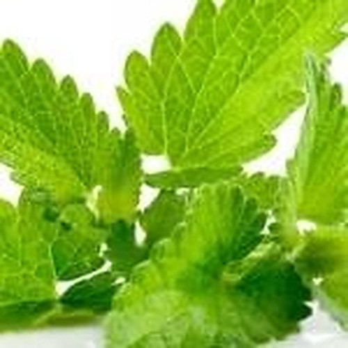 ingredient 028.jpg