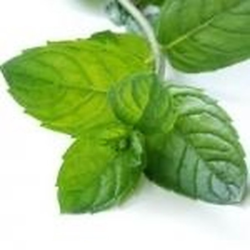 ingredient 201.jpg