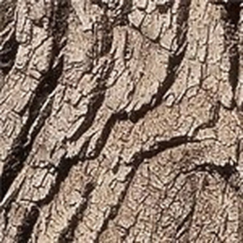 ingredient 315.jpg