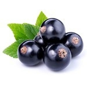ingredient 047 300.jpg