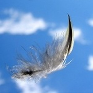 ingredient 603 300.jpg