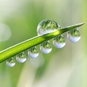 ingredient 595 300.jpg