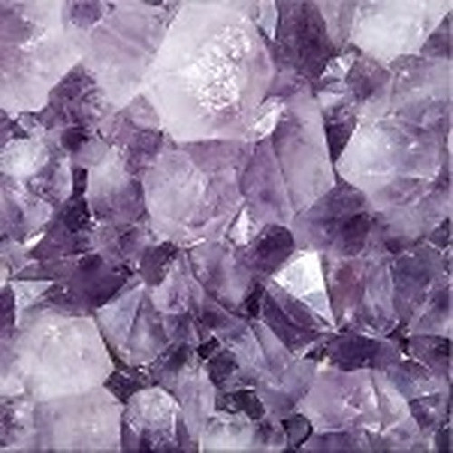 ingredient 600.jpg
