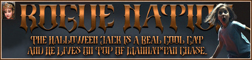 DDog Banner.jpg