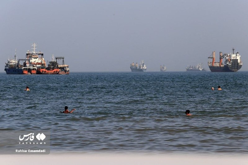 صورة الخبر