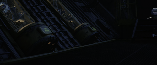 cap 1800.png