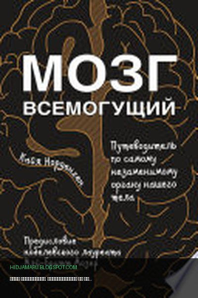 Обложка книги «Мозг всемогущий. Путеводитель по самому незаменимому органу нашего тела» - К. Норденген